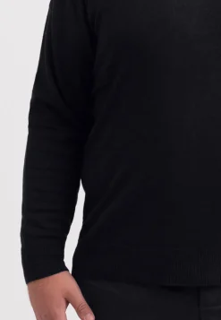 Kaschmir V-Ausschnitt Pullover holzkohle